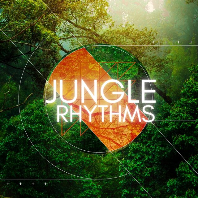 Jungle Rhythms