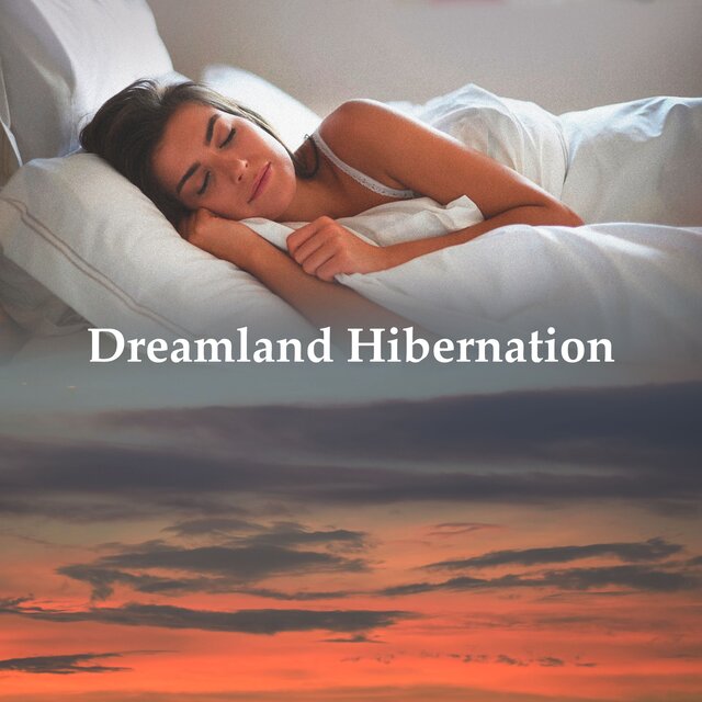Dreamland Hibernation