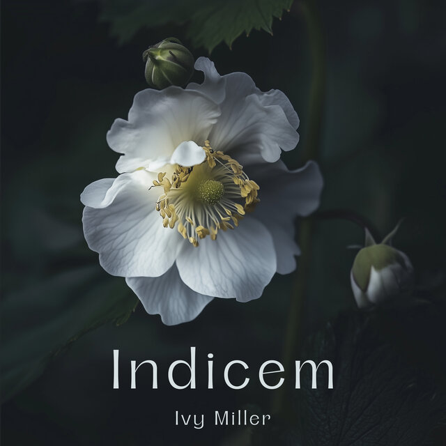 Indicem
