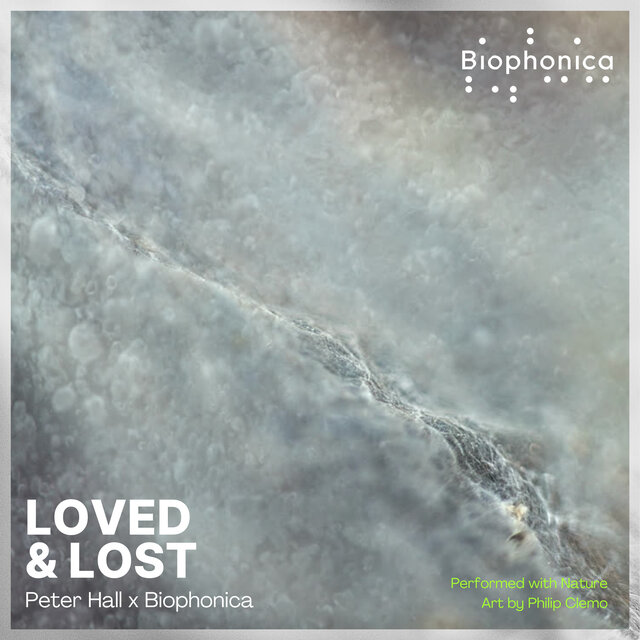 LOVED & LOST
