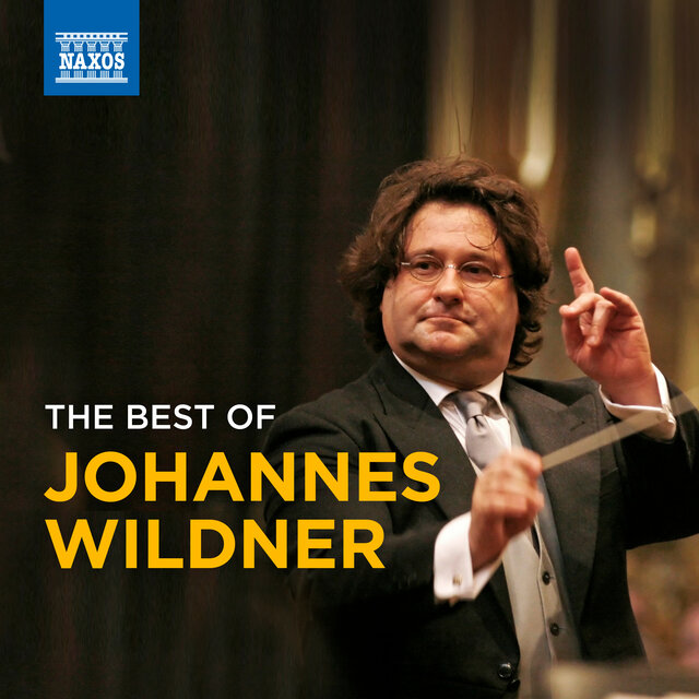 The Best of Johannes Wildner