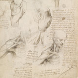 Vitruvian Quartet