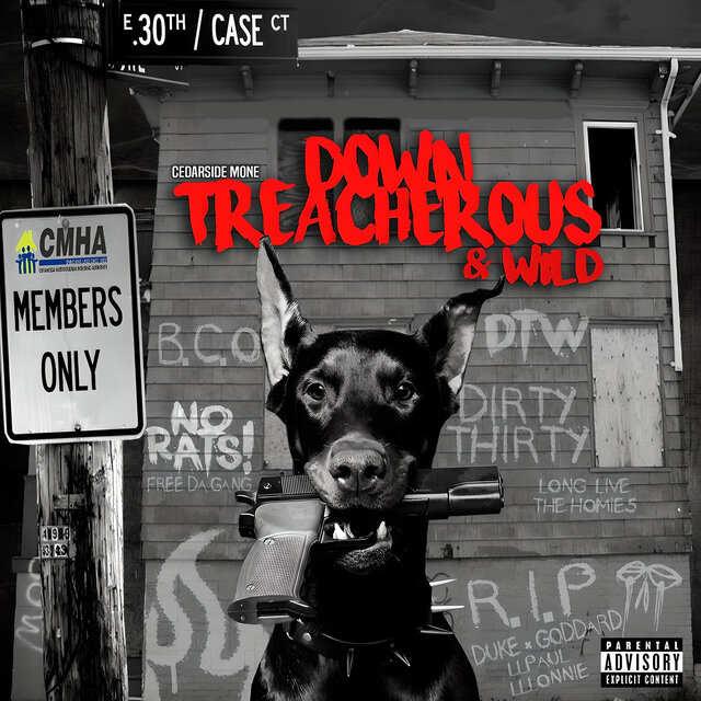 Down Treacherous & Wild
