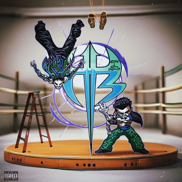 the Hardy Boyz