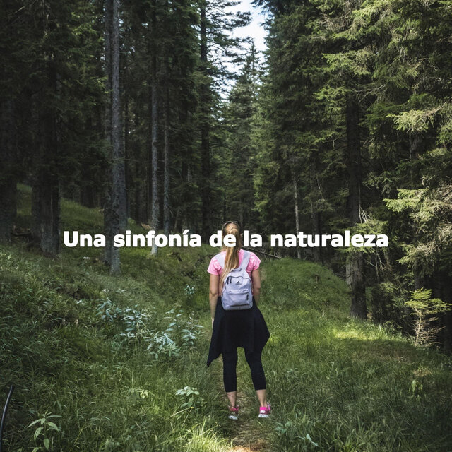 Una sinfonía de la naturaleza