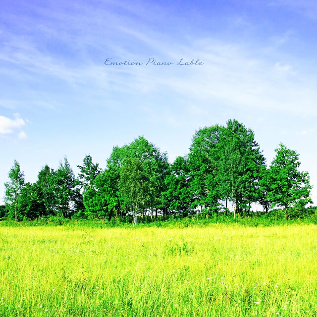 Sunny Day