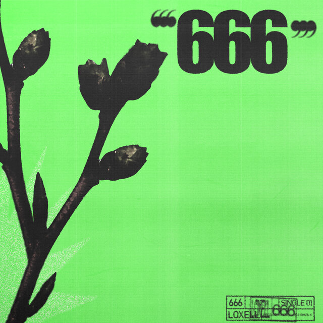 666