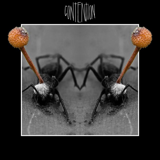 Contention