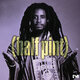Cover art for album Half Pint by Half Pint