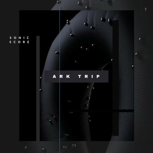 Ark Trip