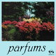 Cover art for album Parfums by Oscar Rocchi, Fabio Fabor
