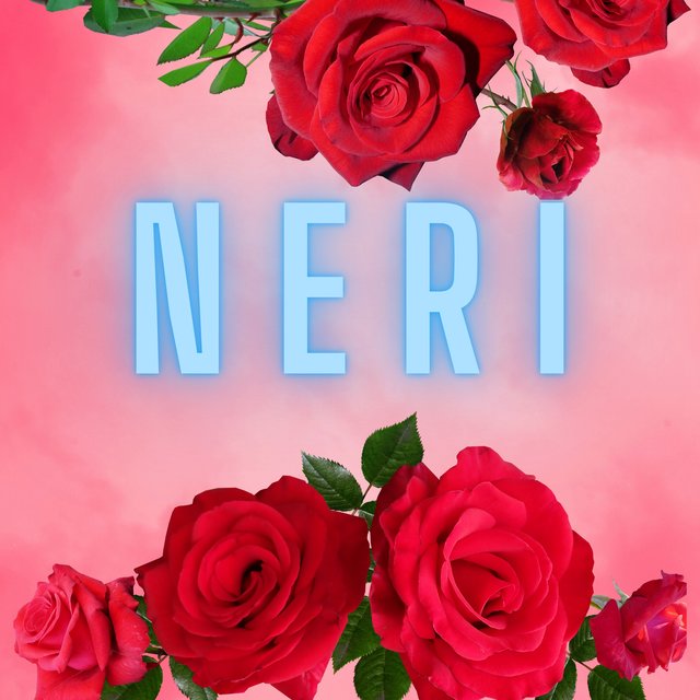 Neri Singer They said I wasn't going to make it by N E R I on TIDAL