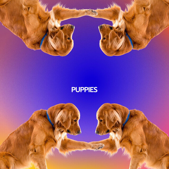 PUPPIES