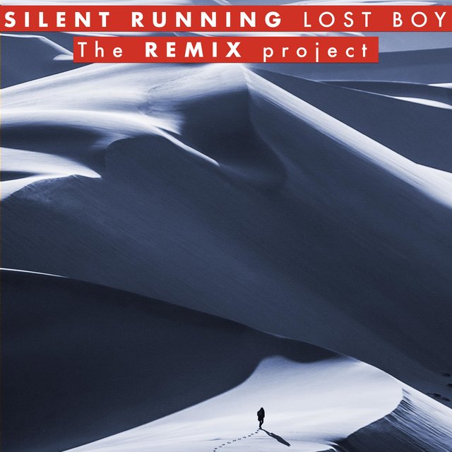 Lost Boy (The Remix Project)