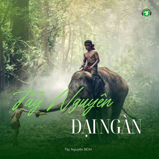 Tây Nguyên Đại Ngàn (Travel BGM)