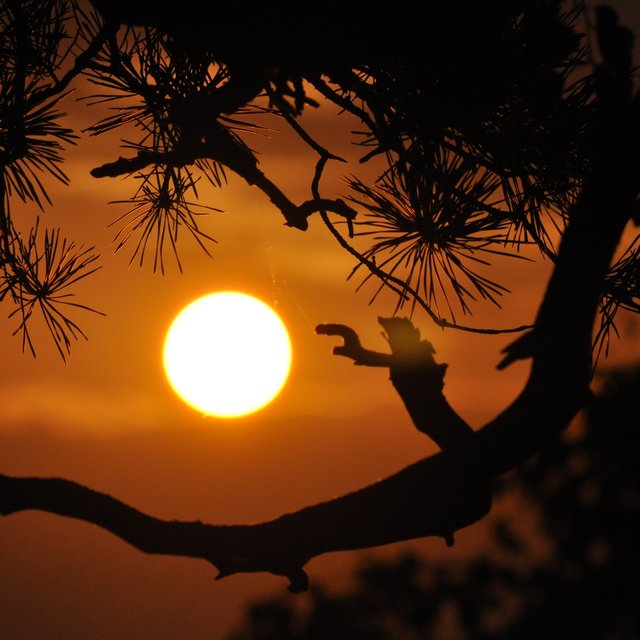 Pure Summer Relaxation Mix - 25 Chillout Tracks for the Perfect Summertime Relaxation Session