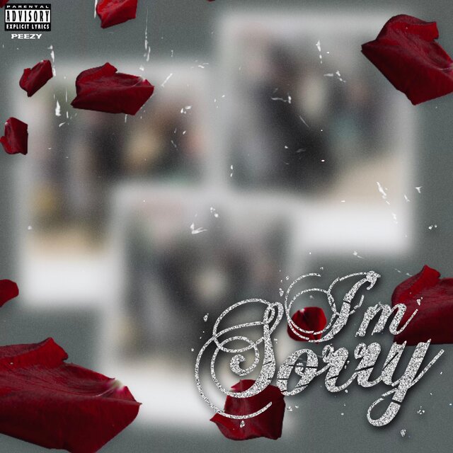 Im Sorry