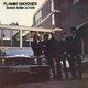 Cover art for album Shake Some Action by Flamin' Groovies