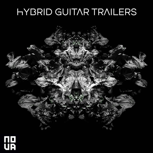 Hybrid Guitar Trailers
