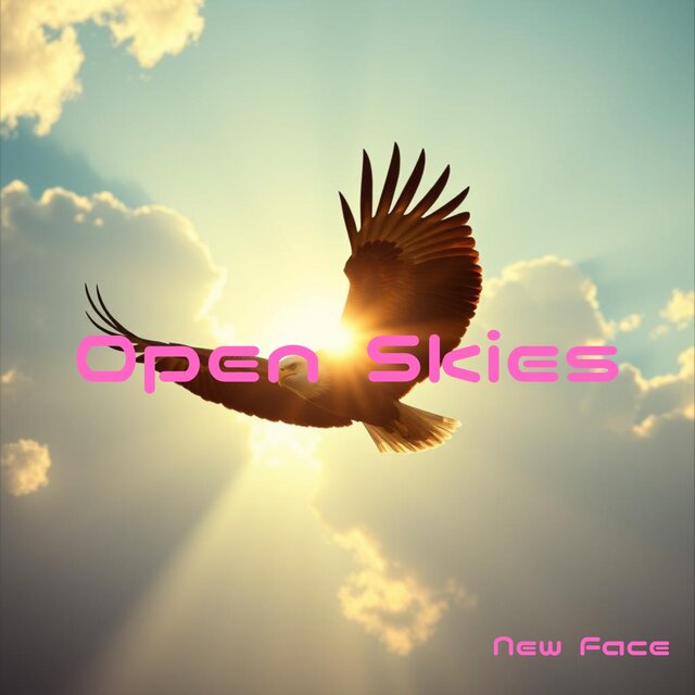 Open Skies