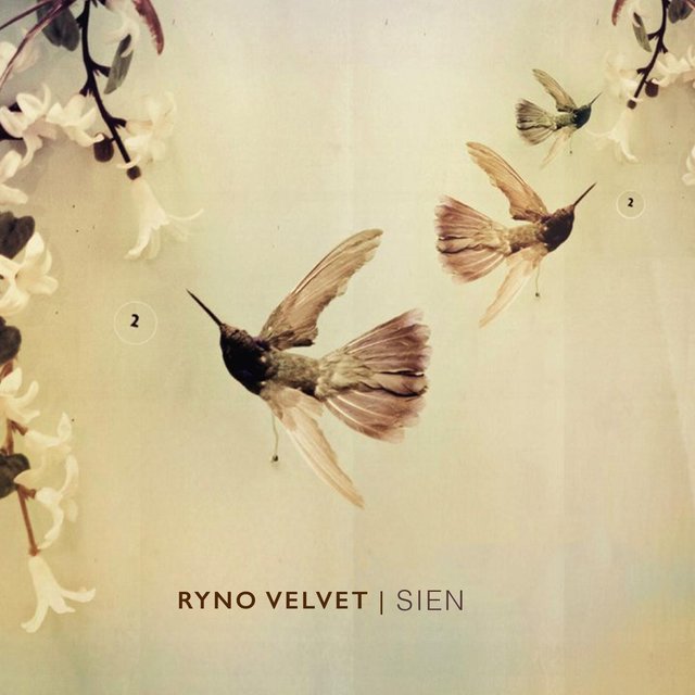 Sien