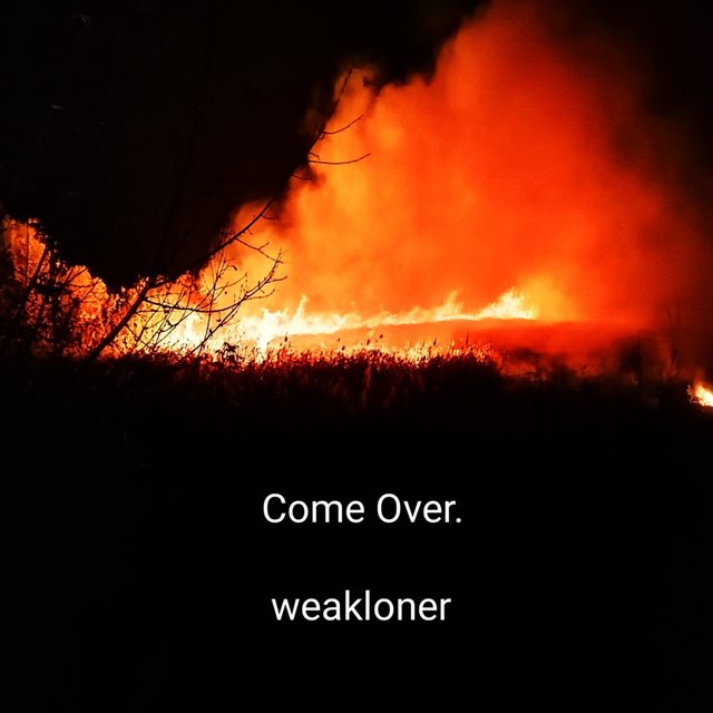 Come Over.