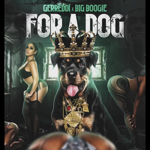 For A Dog