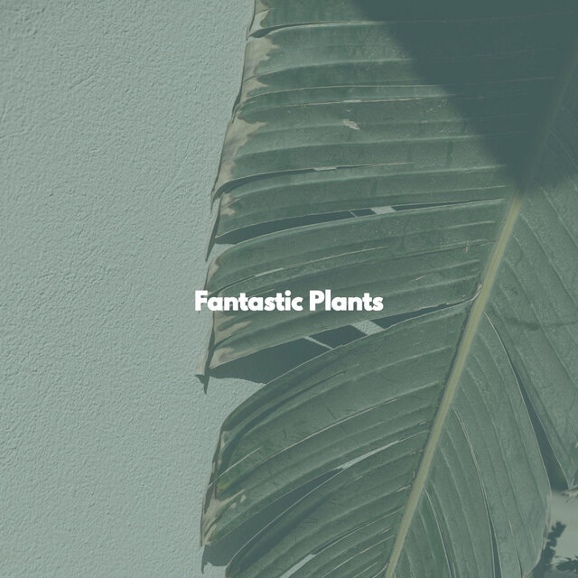 Fantastic Plants