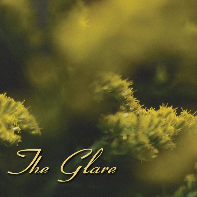 The Glare