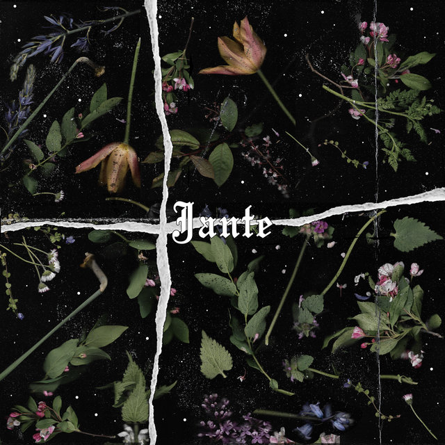 Jante