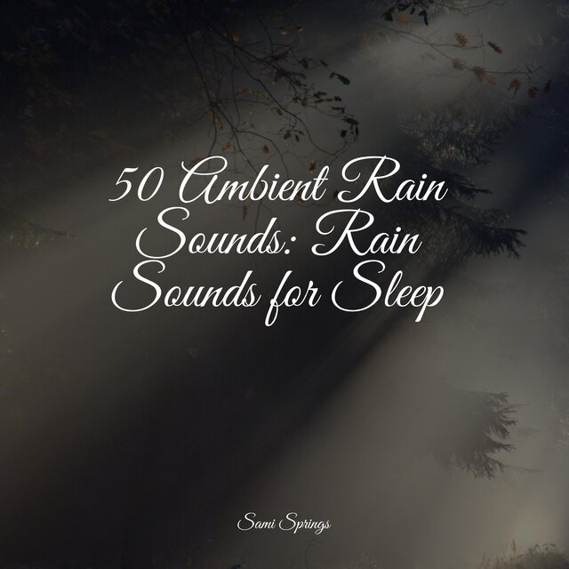 50 Ambient Rain Sounds: Rain Sounds for Sleep