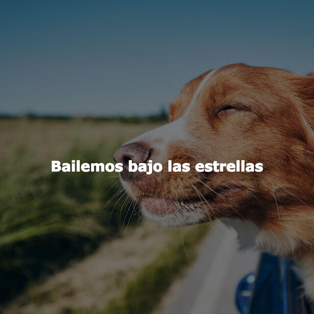 Bailemos bajo las estrellas