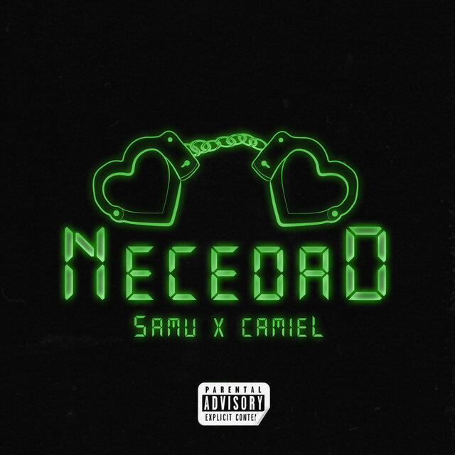 Necedad