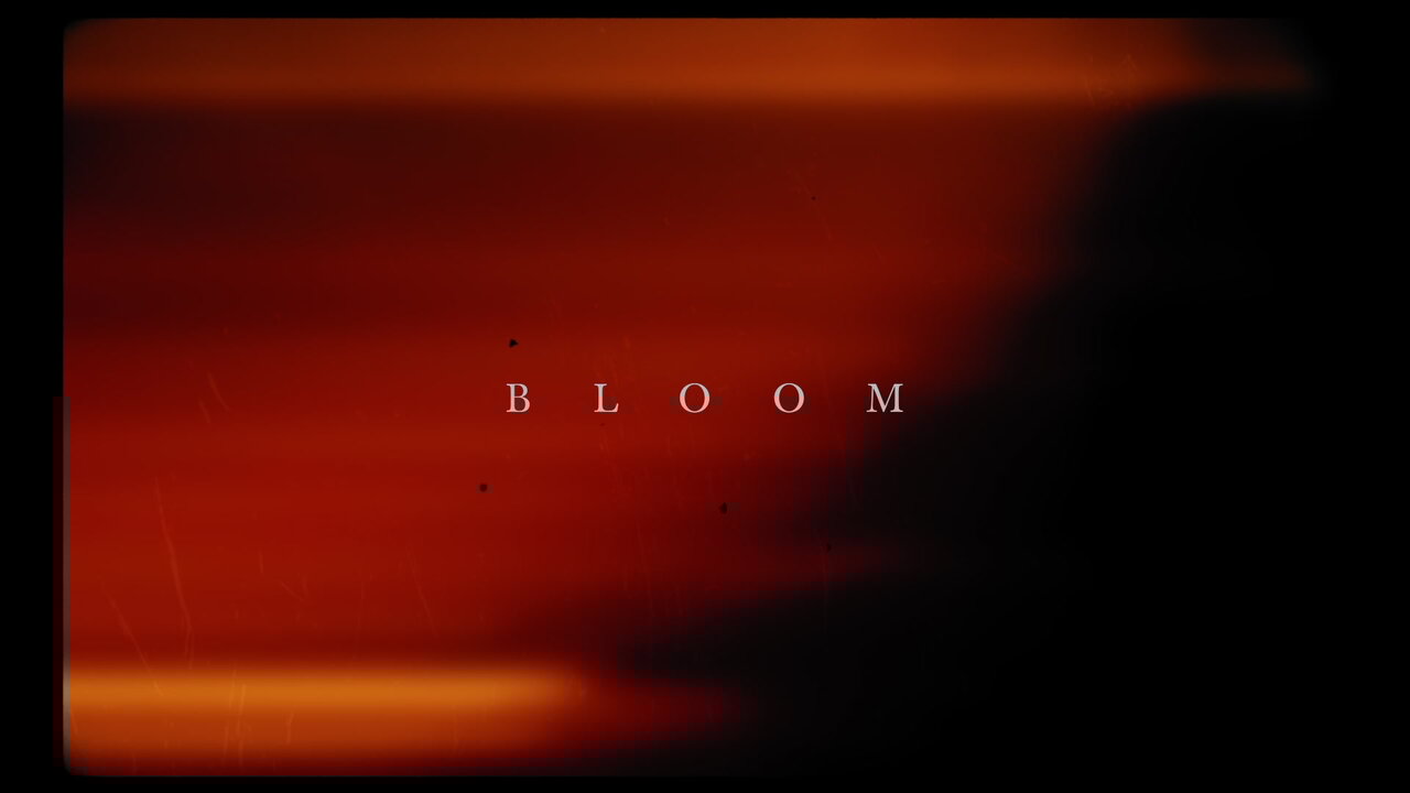 Bloom