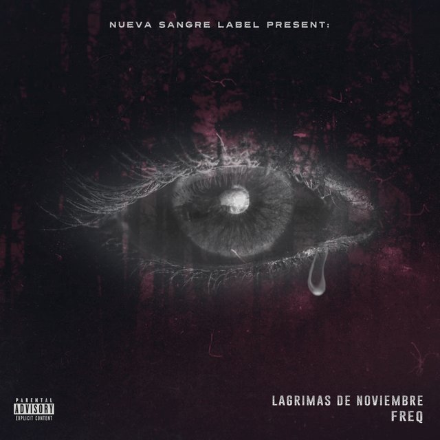 Lagrimas de Noviembre