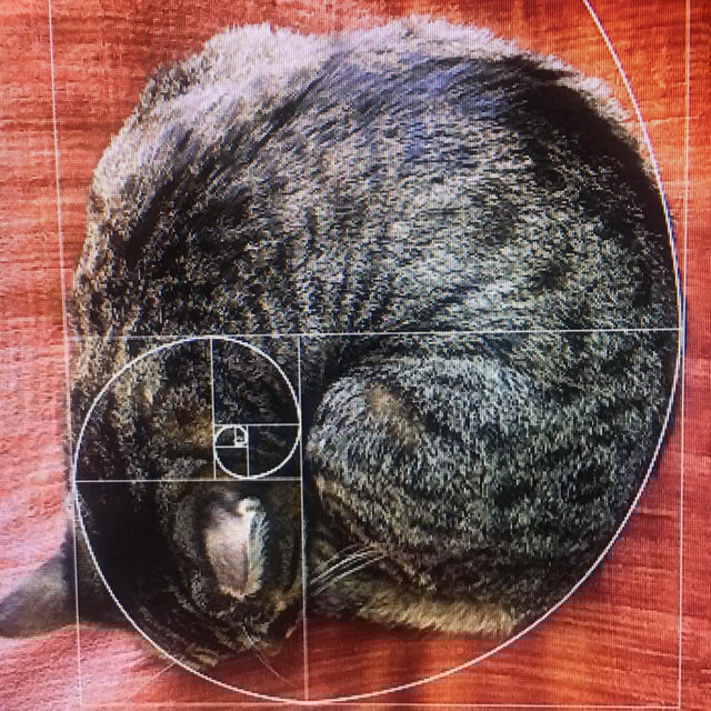 Purfect