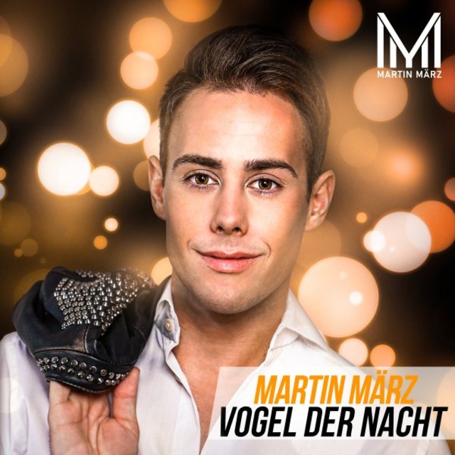 Vogel der Nacht