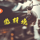 临羽境