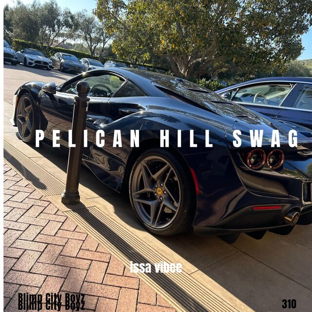 Pelican Hill Swag