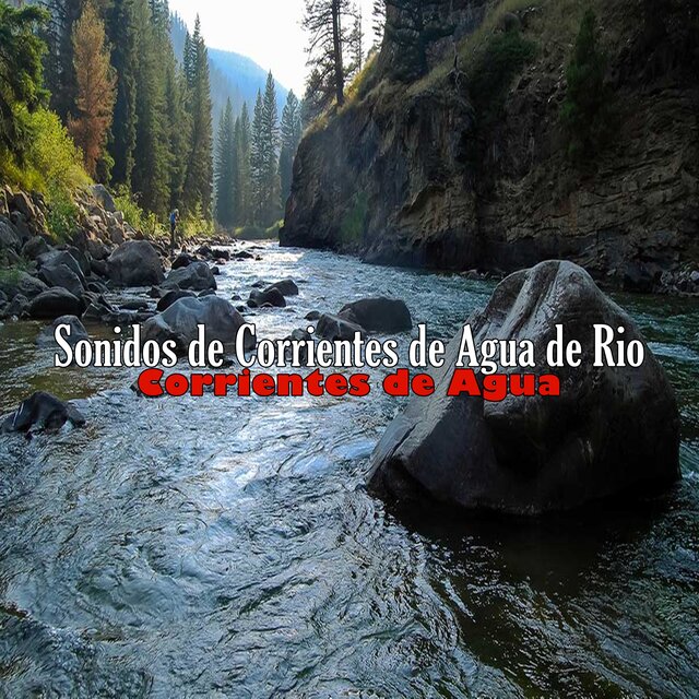Sonidos de Corrientes de Agua de Rio