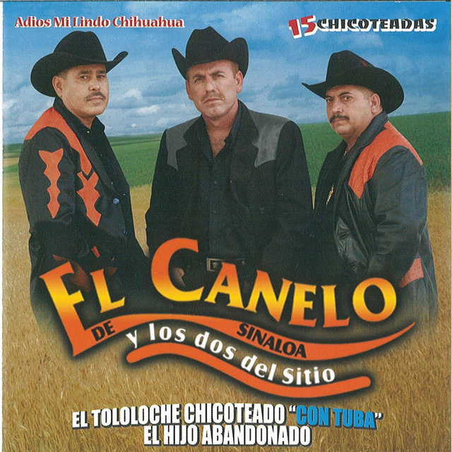 15 Chicoteadas