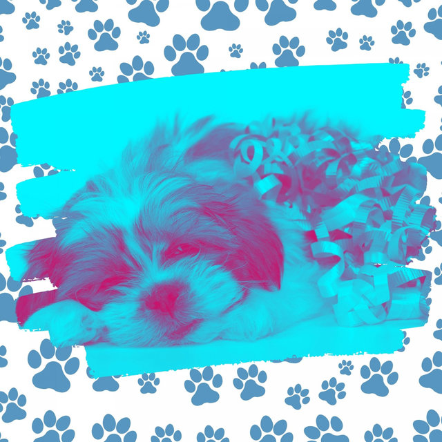 Stellar Brazilian Jazz - Background for Sleepy Pups