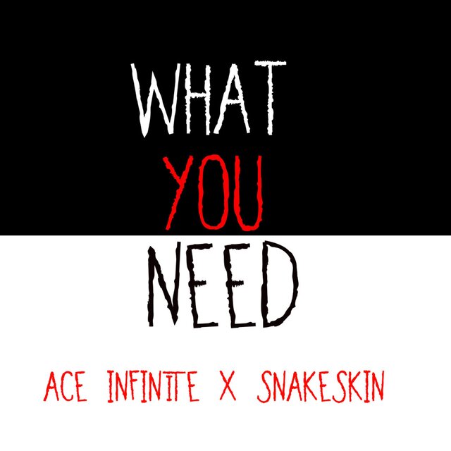 What You Need (feat. snakeskin)