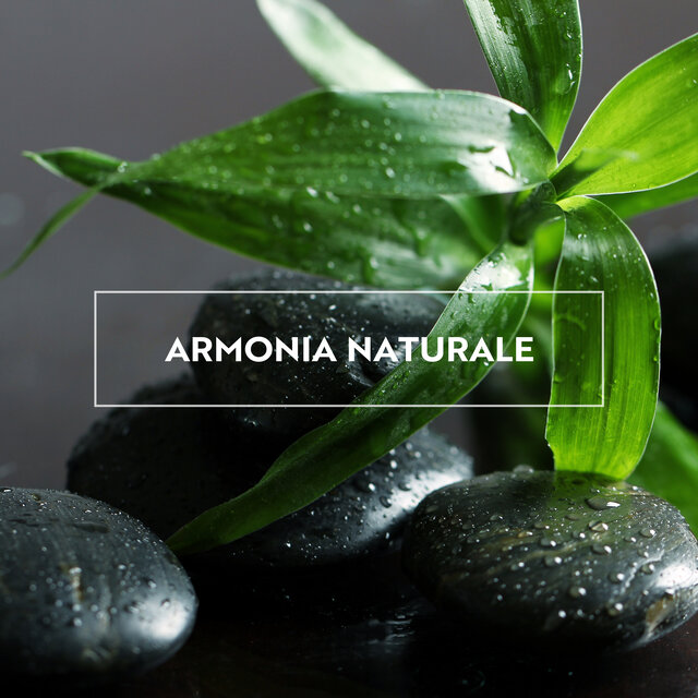 Armonia naturale: Crea il tuo spazio di calma spirituale, chiarezza ed equilibrio tra mente e corpo