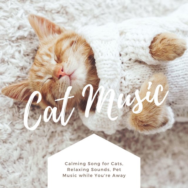 Cat Music: Calming Song for Cats, Relaxing Sounds, Pet Music while You're Away