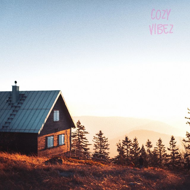 Cozy Vibez