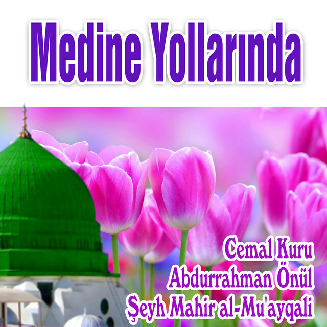 Medine Yollarında