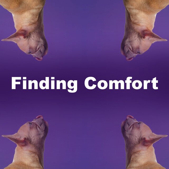 Finding Comfort