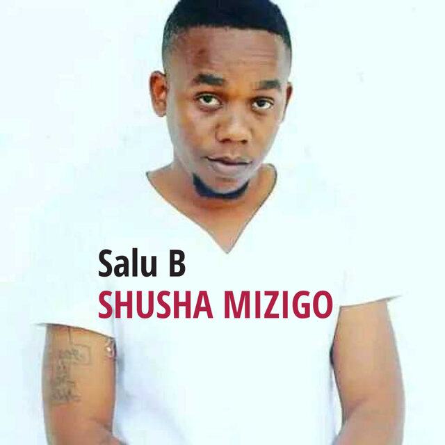 Shusha mizigo