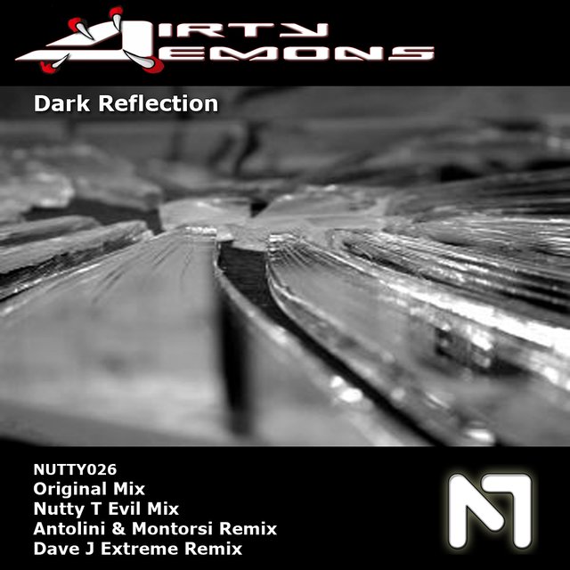 Dark Reflection